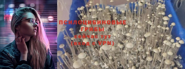 дурь Абинск