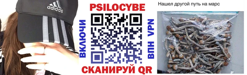 сайты даркнета как зайти  Знаменск  Псилоцибиновые грибы GOLDEN TEACHER 